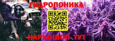 меф Кингисепп
