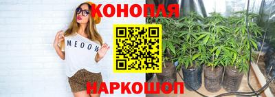 меф Кингисепп