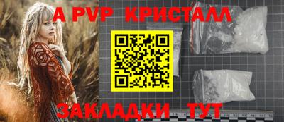 меф Кингисепп